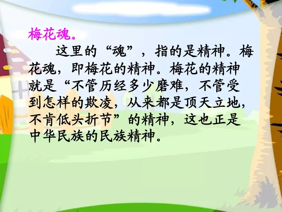 探寻梅花魂最新版，梅花精神内涵与时代价值解读