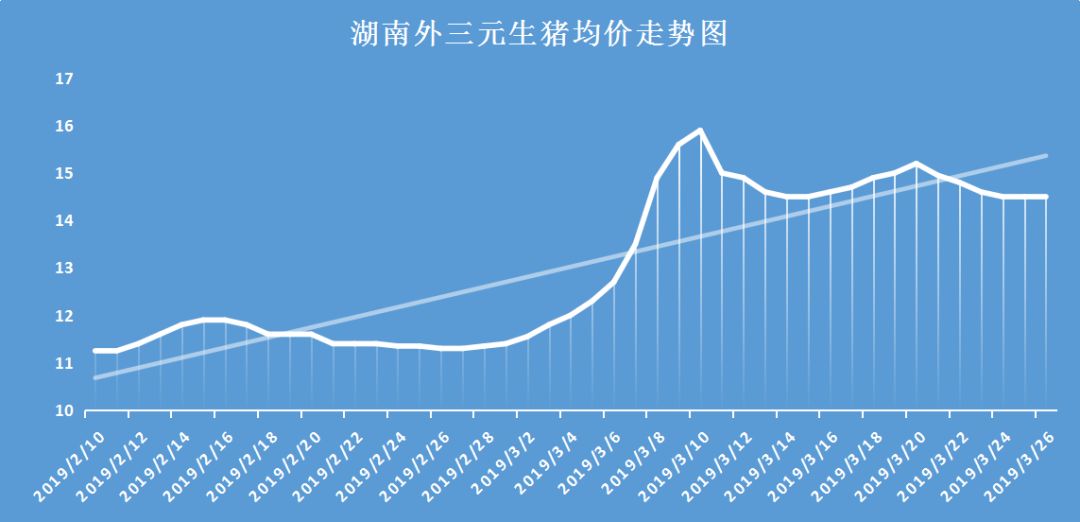 湖南猪价最新行情概览