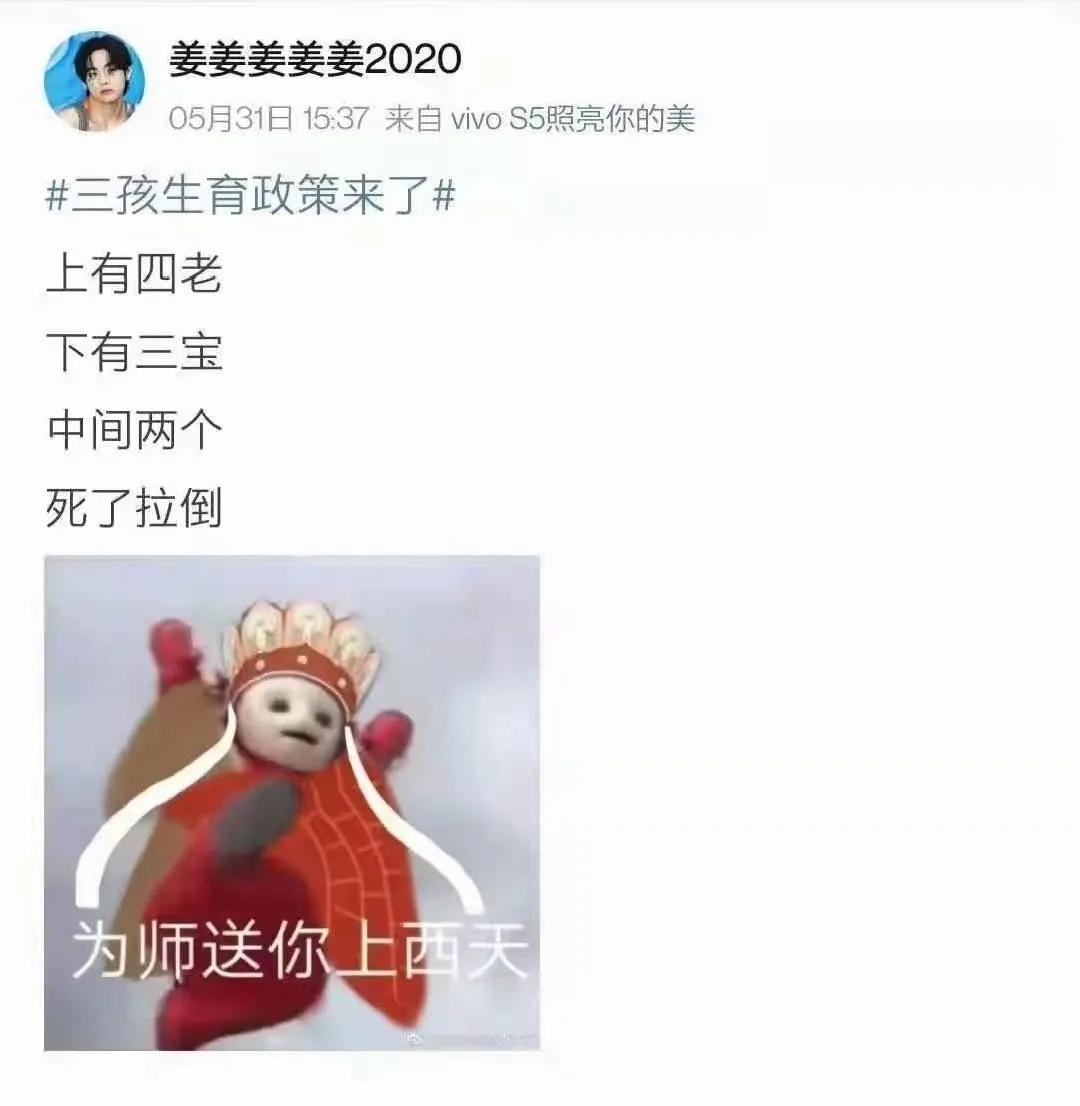 引领未来发展的最新政策篇章开启