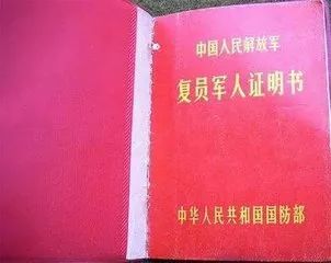 士兵退伍最新通知发布，全力保障退役军人权益，共筑和谐社会新篇章