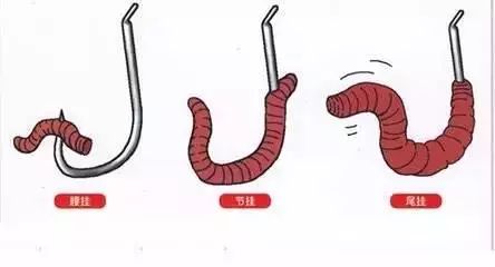 旭冠