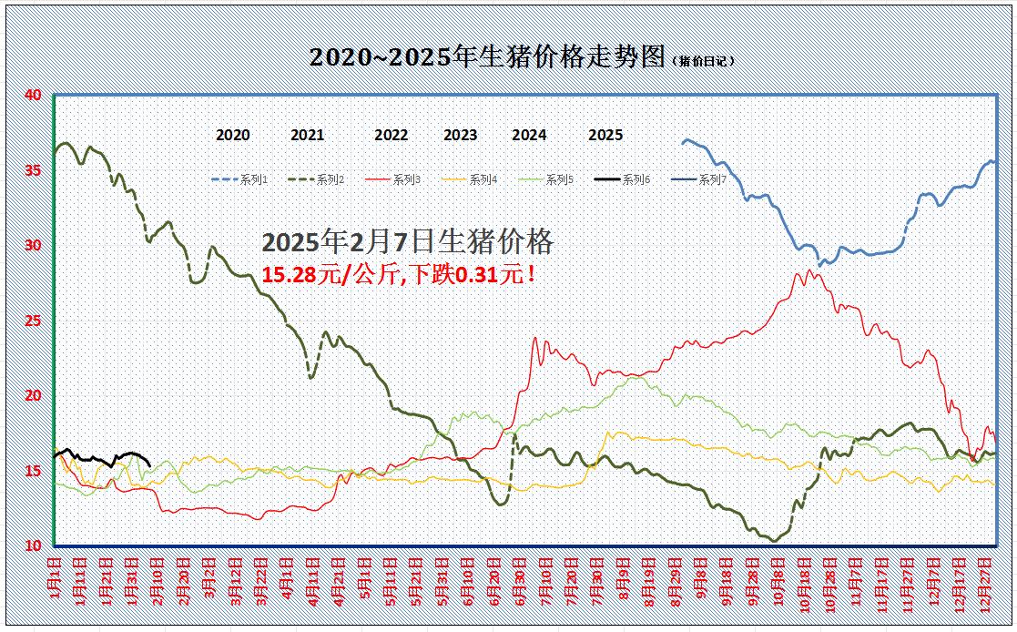最新猪价行情走势解析