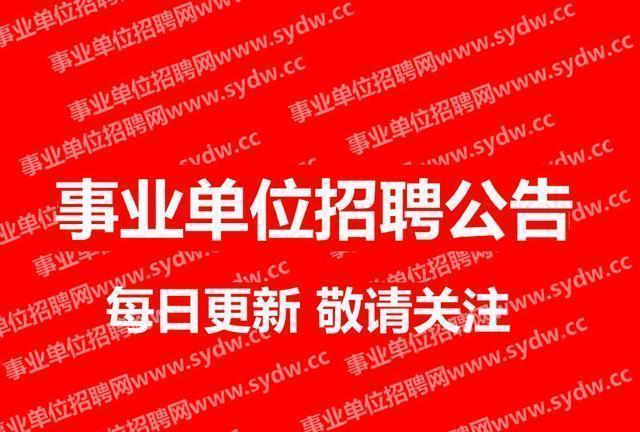 棉湖最新招工信息详解