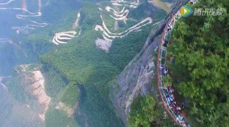 上海最新动态，城市新动向与发展前景展望